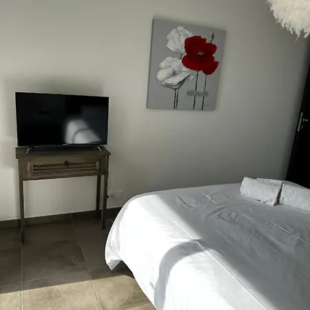 아파트 T2 Climatise A Porticcio, 100m De La Wifi Fibre *