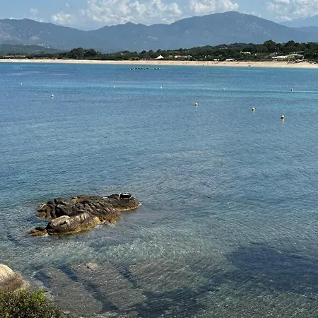 Apartment T2 Climatise A Porticcio, 100m De La Wifi Fibre *