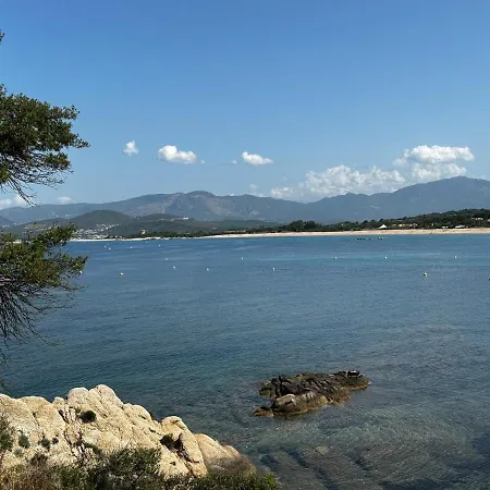 Apartment T2 Climatise A Porticcio, 100m De La Wifi Fibre