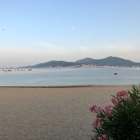 T2 Climatise A Porticcio, 100m De La Wifi Fibre * 포르티씨오