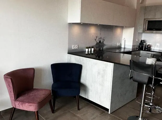 T2 Climatise A Porticcio, 100m De La Wifi Fibre