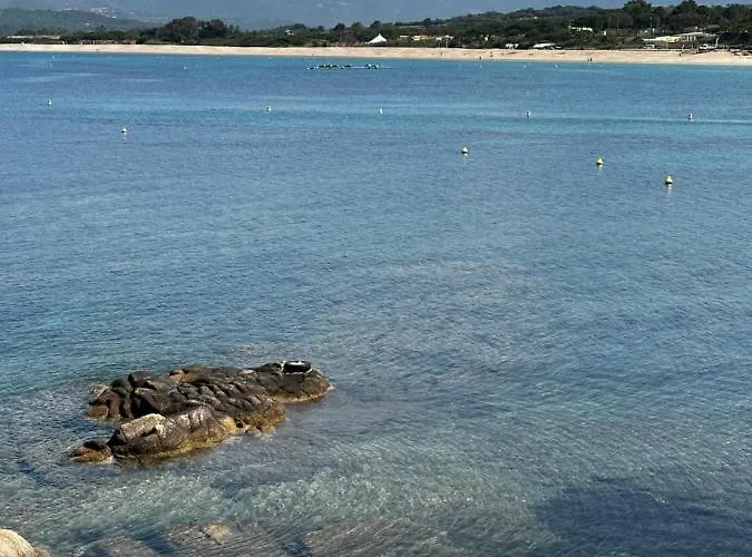 Apartment T2 Climatise A Porticcio, 100m De La Wifi Fibre *