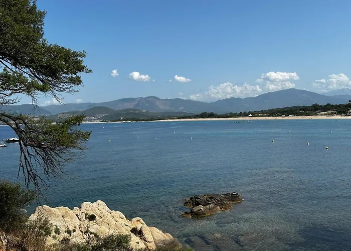 Apartment T2 Climatise A Porticcio, 100m De La Wifi Fibre