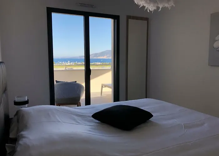 T2 Climatise A Porticcio, 100m De La Wifi Fibre *